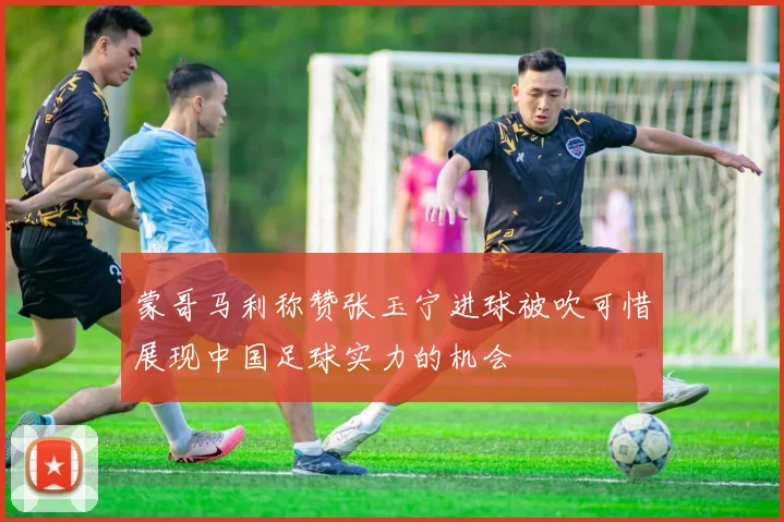 蒙哥马利称赞张玉宁进球被吹可惜展现中国足球实力的机会
